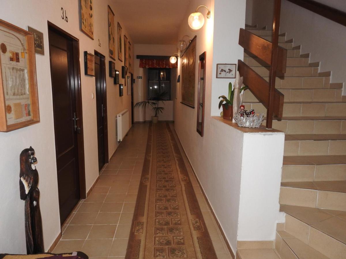 Hotel Stara Skola Na Sumave Hořice na Šumavě Extérieur photo