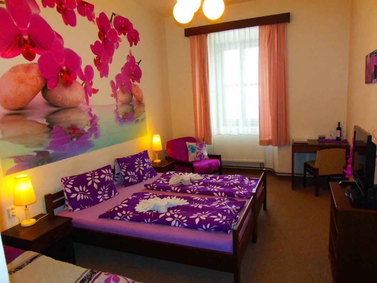 Hotel Stara Skola Na Sumave Hořice na Šumavě Extérieur photo
